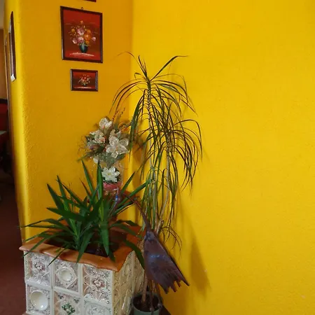 Sonnenhügel Pensión