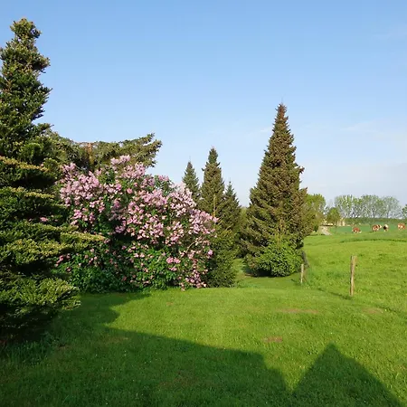 Sonnenhuegel Vendégház Markersdorf