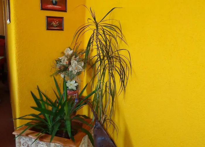 桑尼户格旅馆 招待所