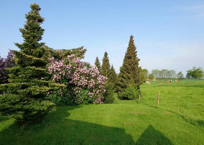 桑尼户格旅馆 招待所 Markersdorf